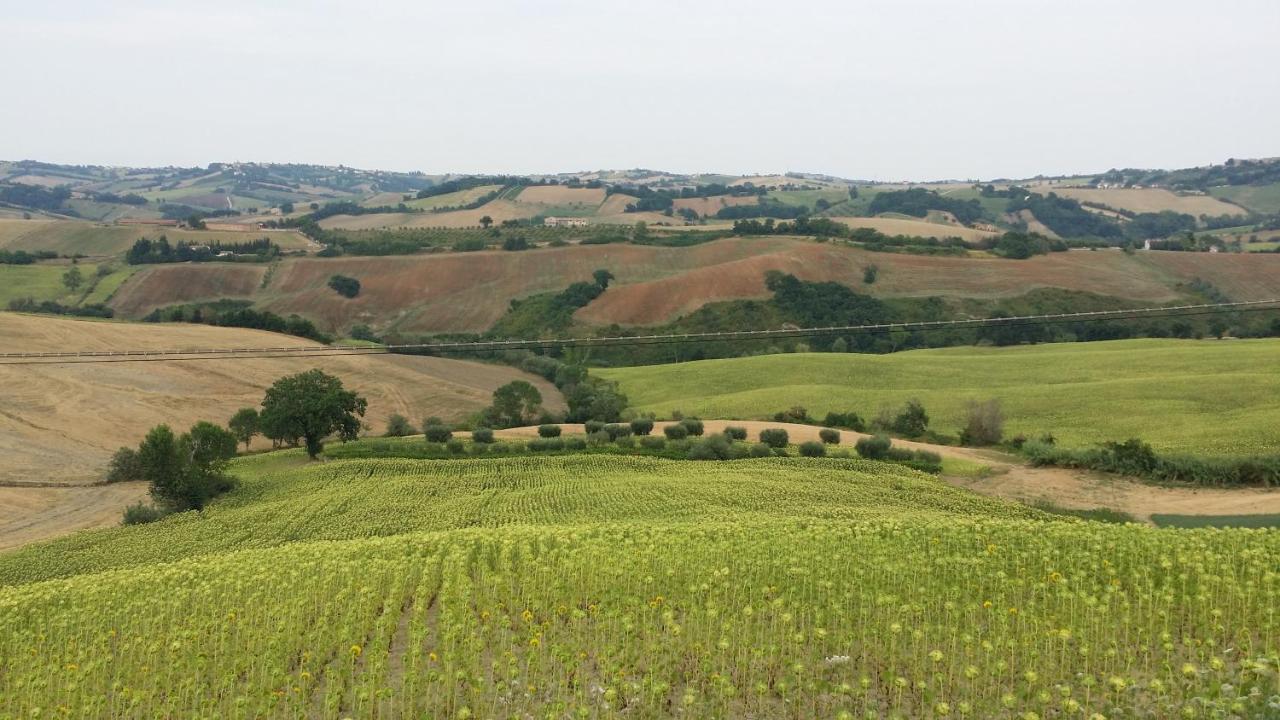 Valle Del Metauro Country House Bed & Breakfast Montemaggiore al Metauro Exterior photo