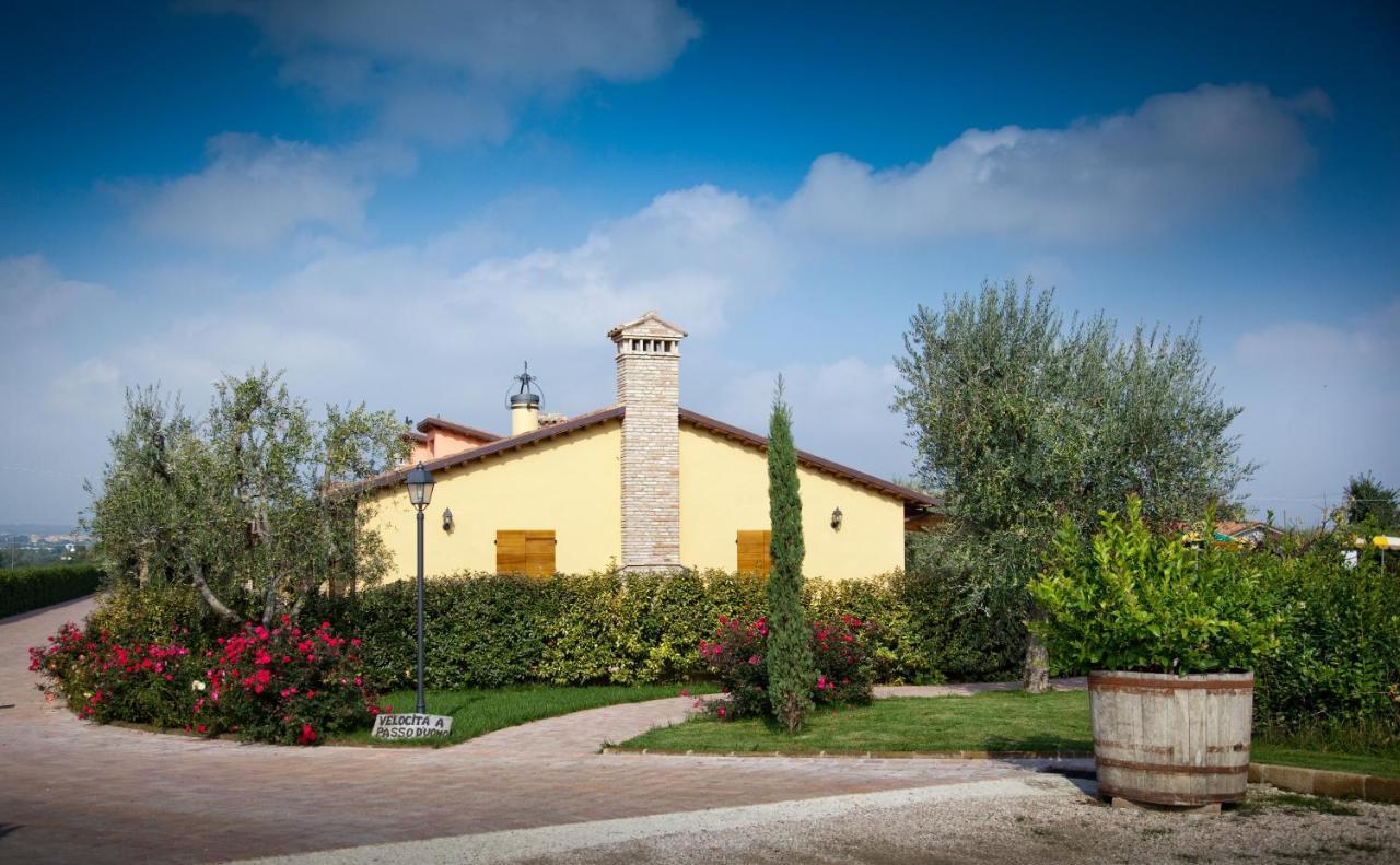 Valle Del Metauro Country House Bed & Breakfast Montemaggiore al Metauro Exterior photo