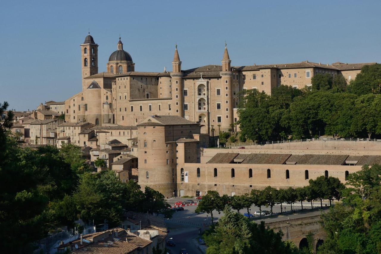 Valle Del Metauro Country House Bed & Breakfast Montemaggiore al Metauro Exterior photo